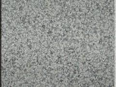 林墩655荔枝面