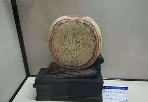 安徽首屆奇石文化交流博覽會開幕，熱乎乎的金獎都在這里了！
