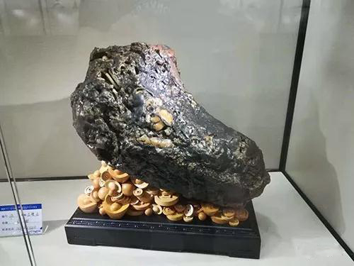 安徽首屆奇石文化交流博覽會開幕，熱乎乎的金獎都在這里了！