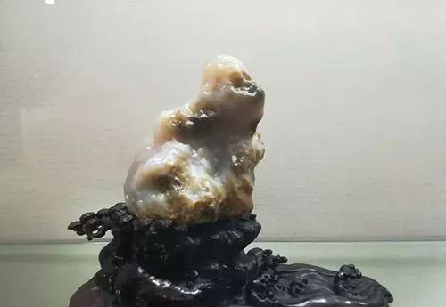 安徽首屆奇石文化交流博覽會開幕，熱乎乎的金獎都在這里了！