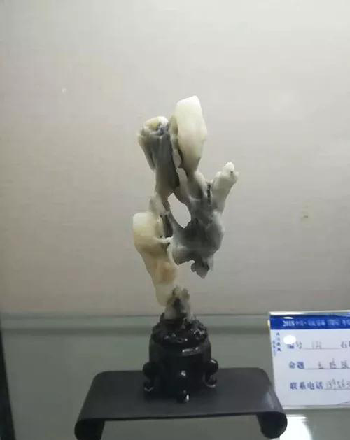 安徽首屆奇石文化交流博覽會開幕，熱乎乎的金獎都在這里了！