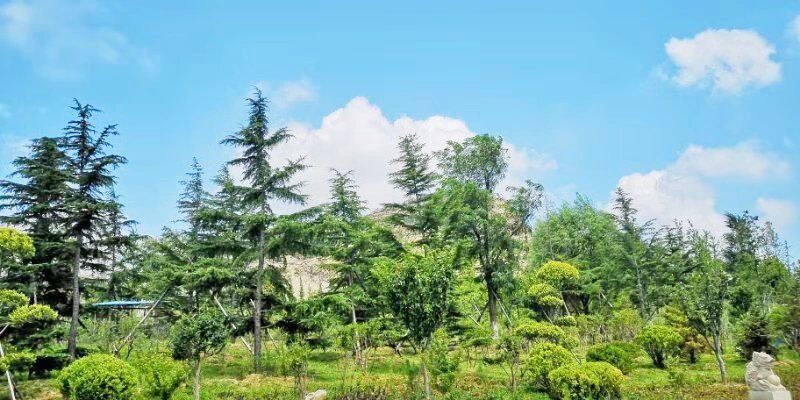 礦山環(huán)境“開發(fā)式治理”之路如何走？