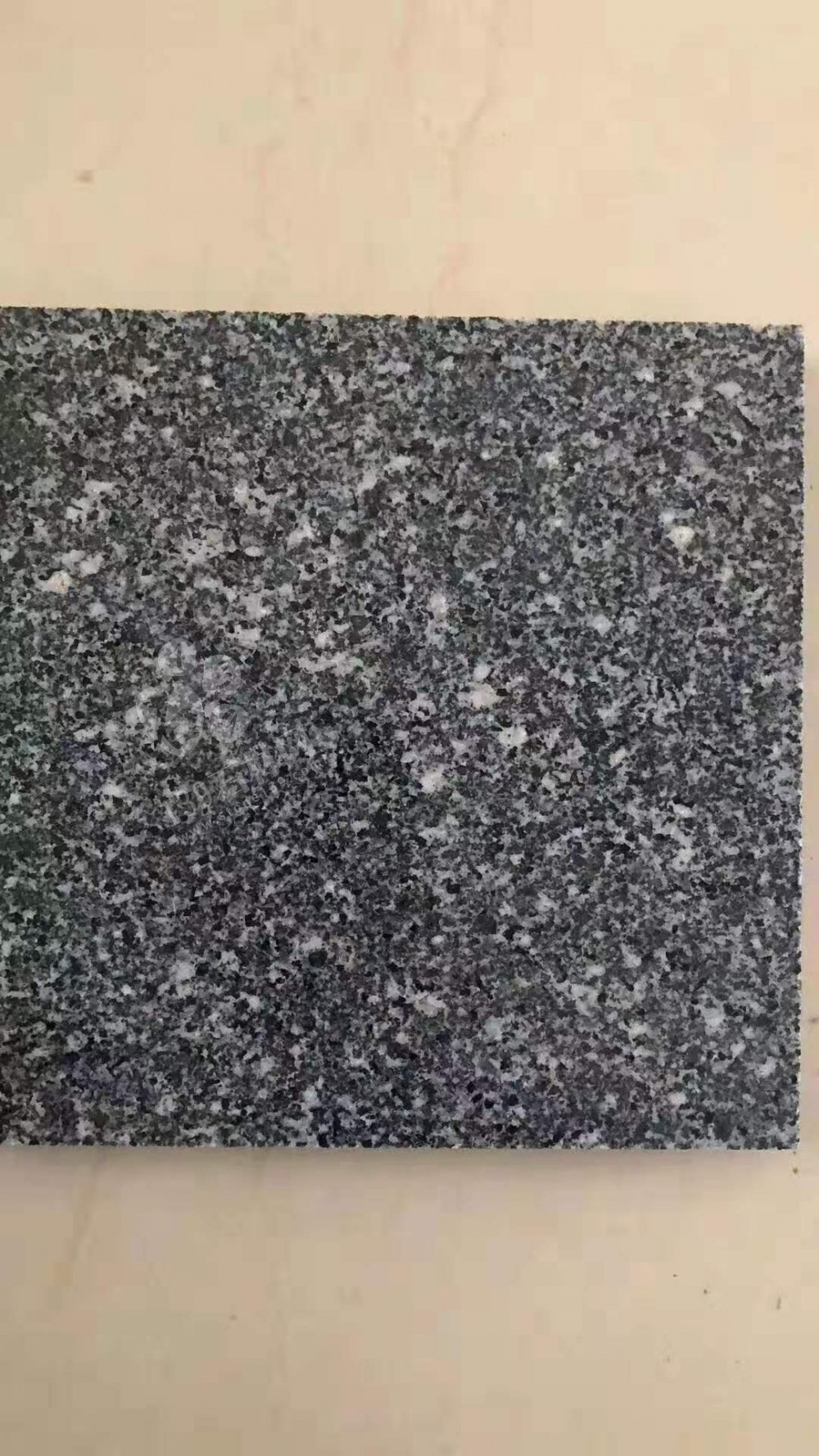 杭州芝麻黑廠(chǎng)家金龍石材推出江浙地區(qū)完美替代福建654的花崗巖產(chǎn)品
