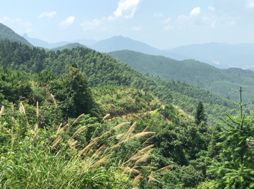 富強(qiáng)石材董事長彭宜斌:“綠色礦山——可持續(xù)發(fā)展勢在必行”演講紀(jì)實