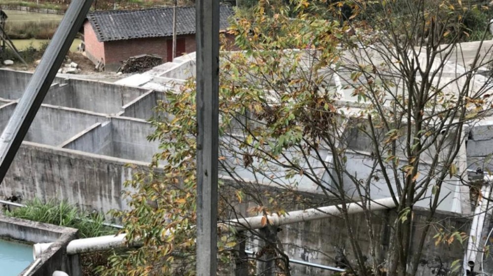 富強(qiáng)石材董事長彭宜斌:“綠色礦山——可持續(xù)發(fā)展勢在必行”演講紀(jì)實