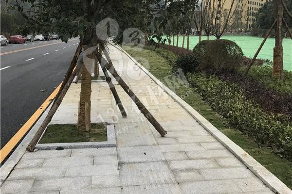 湖南芝麻灰溆浦廠家福華石材主營(yíng)芝麻灰、芝麻黑654、芝麻白、小冰花、G688#