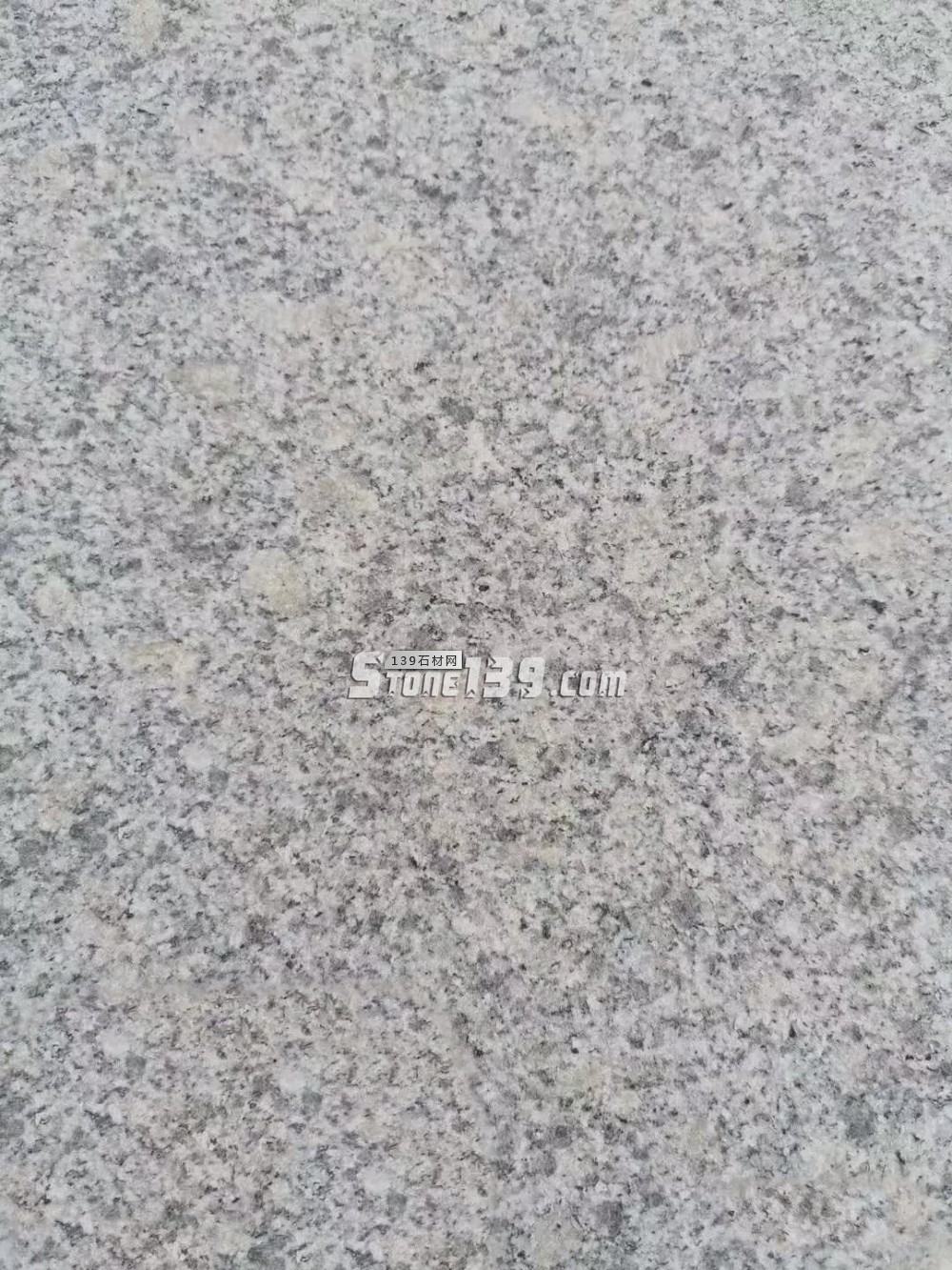 遼寧營口市蓋州芝麻白、芝麻灰、珍珠花產(chǎn)地價格表(指導(dǎo))!