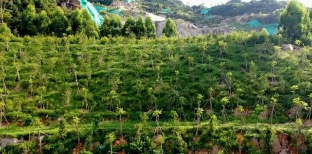 漳浦問題礦山生態(tài)圓滿修復(fù)，全縣石材企升級(jí)27家企業(yè)復(fù)電復(fù)產(chǎn)，獲中國(guó)環(huán)境報(bào)好評(píng)