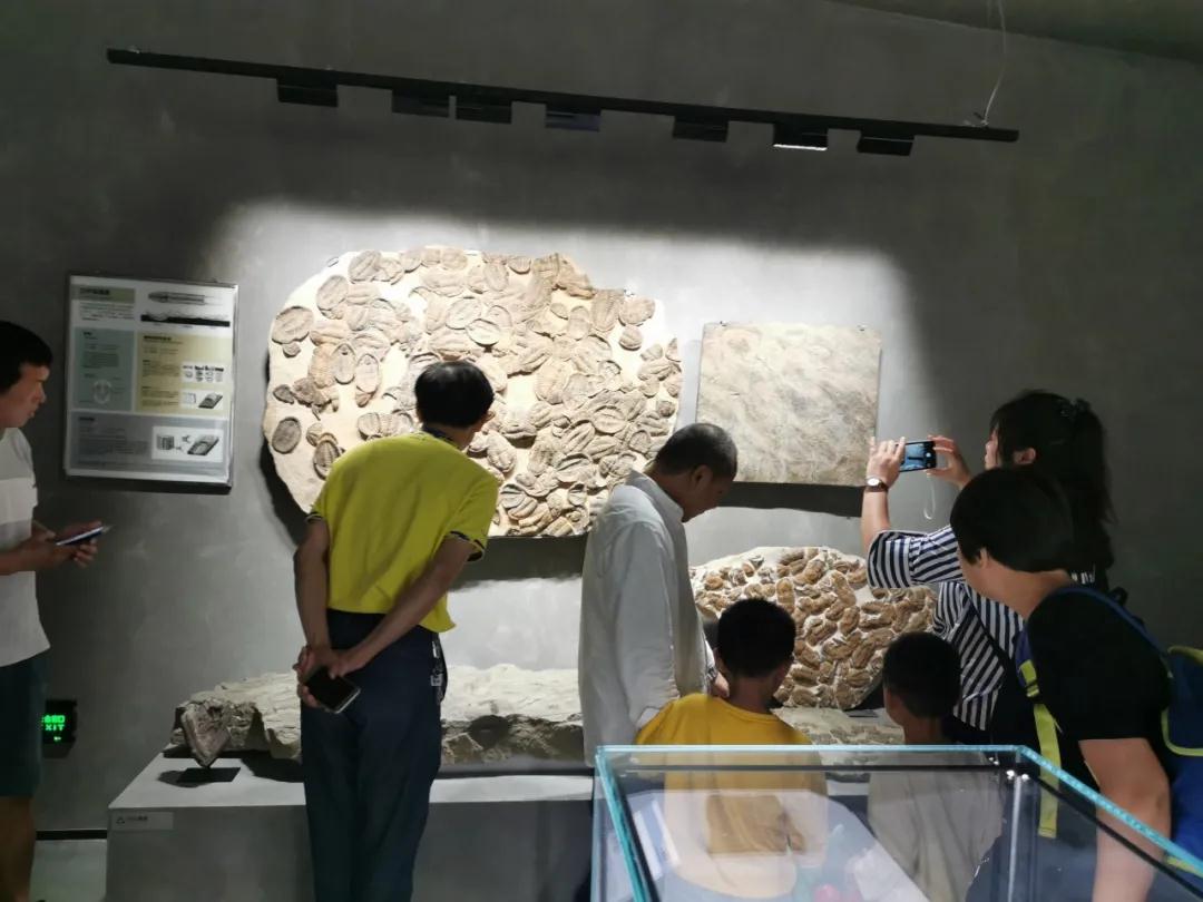石材文化的分享者｜晉江、南安兩地作協(xié)主席與作家蒞臨水頭參觀指導(dǎo)