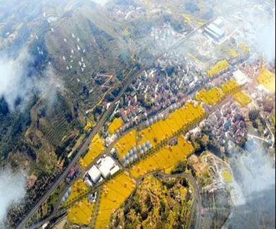 浙江桐廬鐘山鄉(xiāng)石材石雕小微園項目開工建設(shè)了！