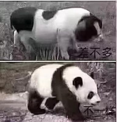 一聽價(jià)格，您走了，一看品質(zhì)，您又心動(dòng)了！買石材，一分價(jià)錢一分貨