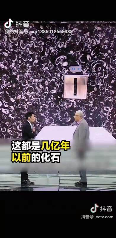 貴陽機(jī)場廁所洗手臺(tái)化石是哪個(gè)石材(海貝花大理石)