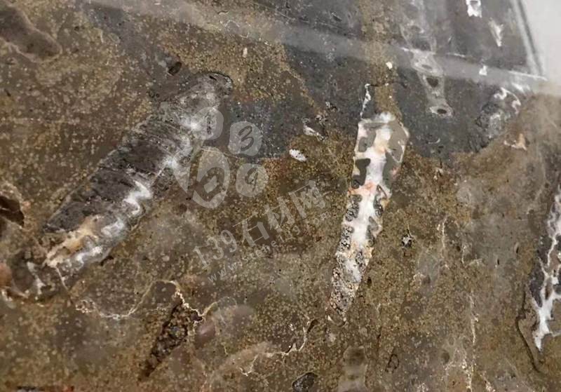 貴陽機(jī)場廁所洗手臺(tái)化石是哪個(gè)石材(海貝花大理石)